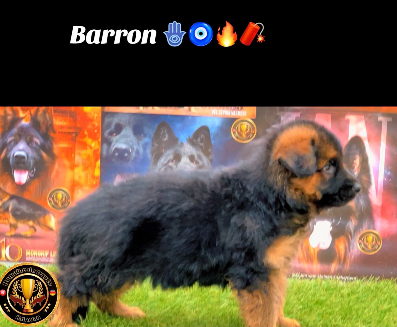 Barron